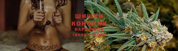 герыч Тайга