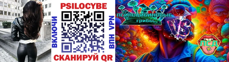 Галлюциногенные грибы Cubensis  как найти закладки  Костерёво 